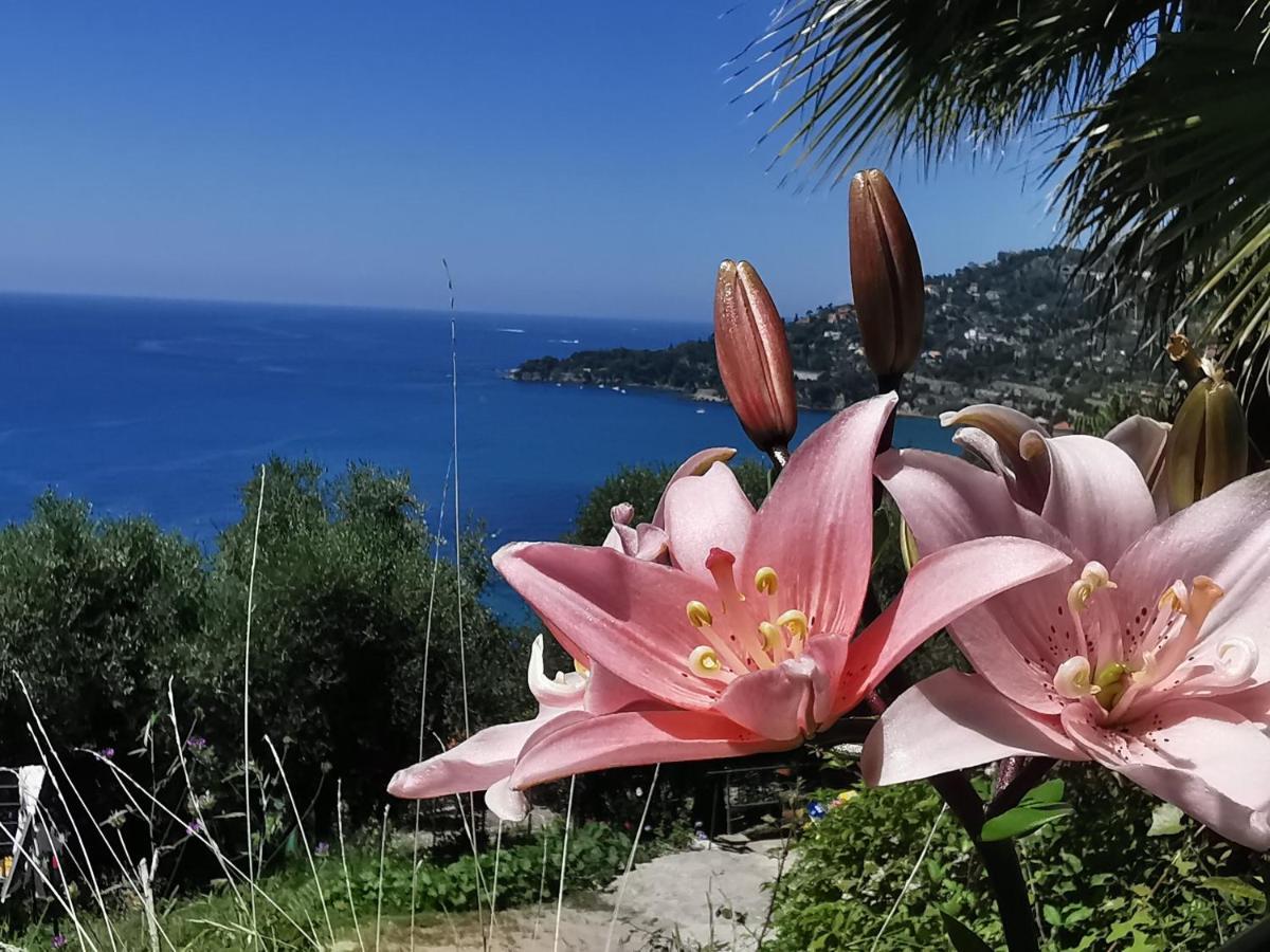 Romantic Casa Lorenzina Affittacamere Ventimiglia Zewnętrze zdjęcie