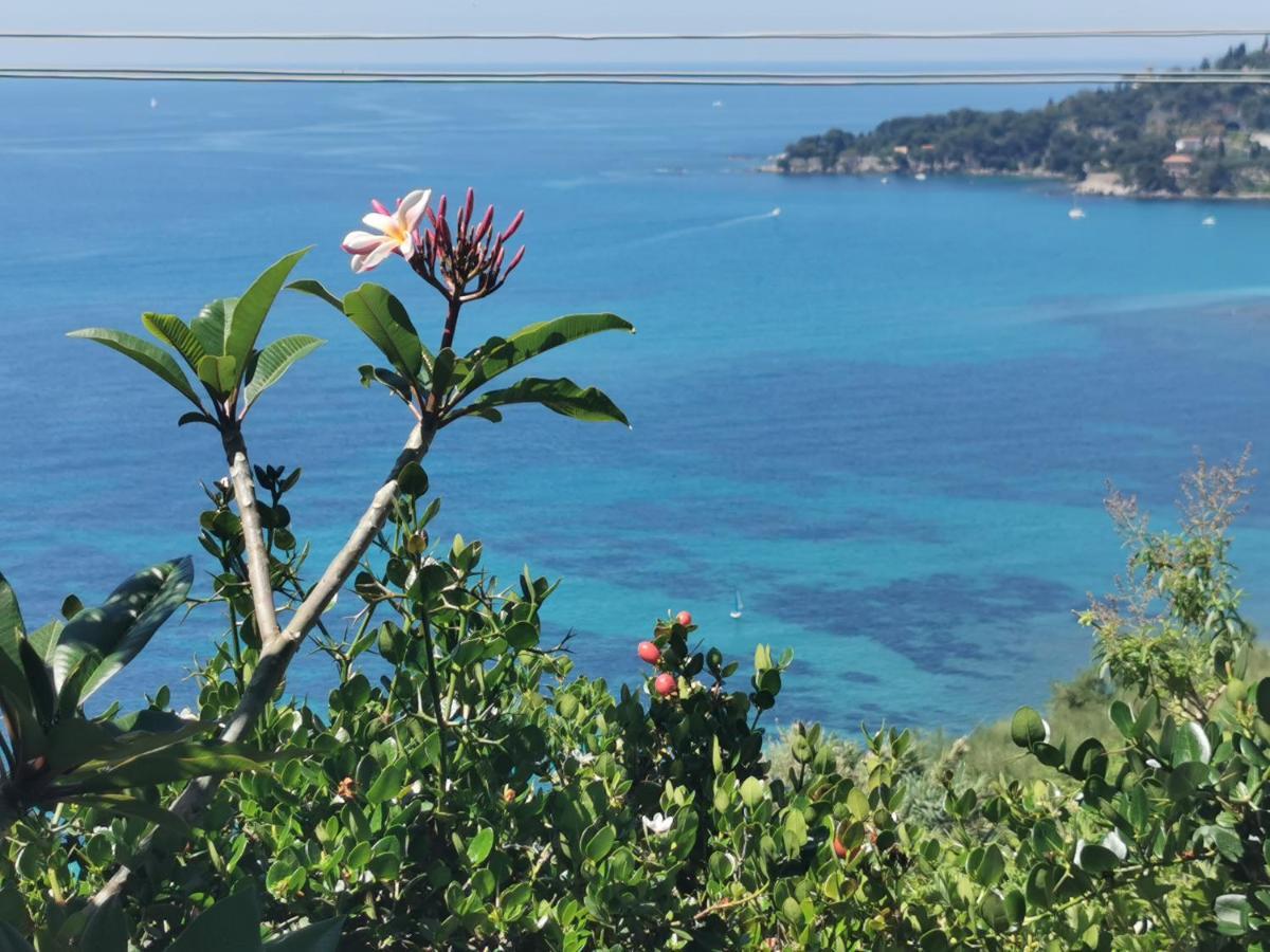 Romantic Casa Lorenzina Affittacamere Ventimiglia Zewnętrze zdjęcie