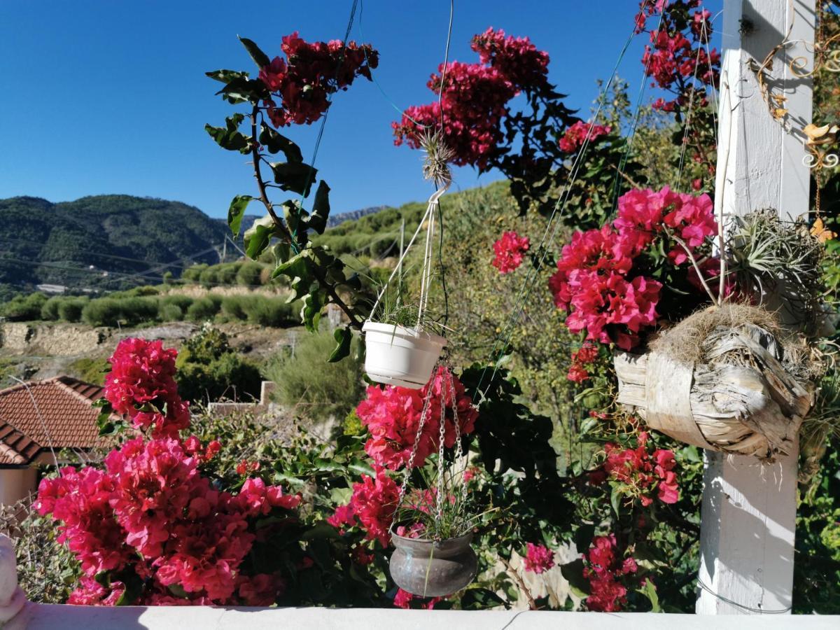 Romantic Casa Lorenzina Affittacamere Ventimiglia Zewnętrze zdjęcie